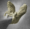 Bed Socks Slippers Crochet Pattern Sz S M L