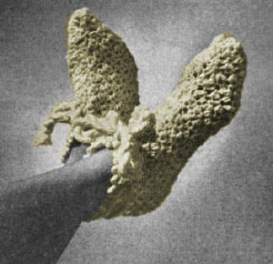 Bed Socks Slippers Crochet Pattern Sz S M L