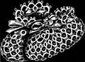 Baby Booties Tatting Pattern