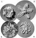 Brooches ot Hair Accessories Lot 4 Tatting Patterns
