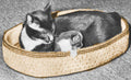 Cat Bed Crochet Pattern