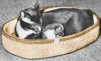 Cat Bed Crochet Pattern
