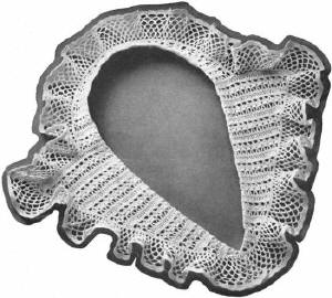 Collar with Frilled Lapels Vintage Crochet Pattern