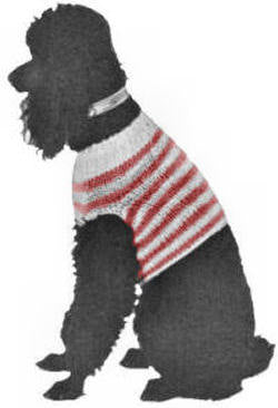 Dog Sweater Coat Knitting Pattern 17 sizes