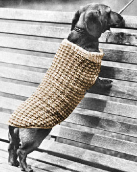 Dachshund Dog Sweater Coat Knitting Pattern
