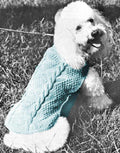 Poodle Dog Sweater Coat Knitting Pattern
