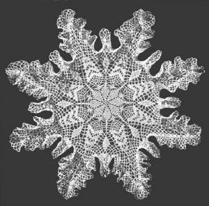 Pine Tree Doily Crochet Pattern 16"