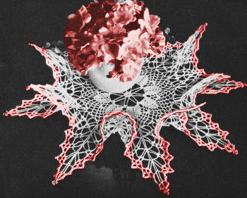 Wild Rose Point Doily Crochet Pattern 18-21"