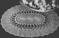 Woodland Dell Oval Doily Crochet Pattern 14x18"