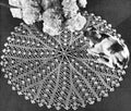 Willow Wand Round Doily Crochet Pattern 16.5"
