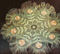 Zinnia Centerpiece Doily Crochet Pattern 18-20"