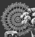Spider Web Doily Crochet Pattern 14"