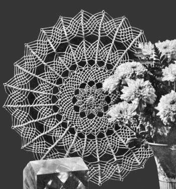 Spider Web Doily Crochet Pattern 14"