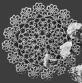 Tatted Tracery Doily Tatting Pattern 12"