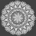 Flower and Fern Doily Crochet Pattern 16"