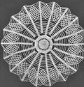 Sunburst Doily Crochet Pattern 11"