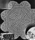 Desert Sun Doily Knitting Pattern 16"