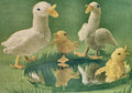Ducks and Ducklings Stuffed Toys Knitting Pattern