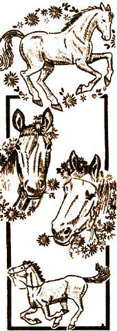 Horses Appliques or Embroidery Transfer Pattern