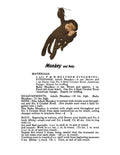 Pattern MonkeyK (PDF)