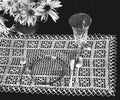 Lacy Squares Placemat Filet Crochet Pattern