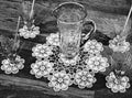 Refreshment Set Doily Table Setting Crochet Pattern