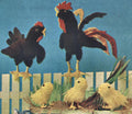 Rooster, Hen & Chicks Stuffed Toys Knitting Pattern