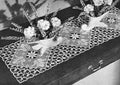Formal Garden Table Runner Filet Crochet Pattern
