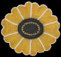 Black Eyed Susan Trivet or Pot Holder Crochet Pattern