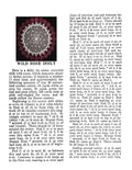 Wild Rose Doily Crochet Pattern 11"